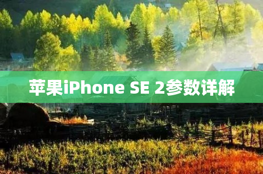 苹果iPhone SE 2参数详解