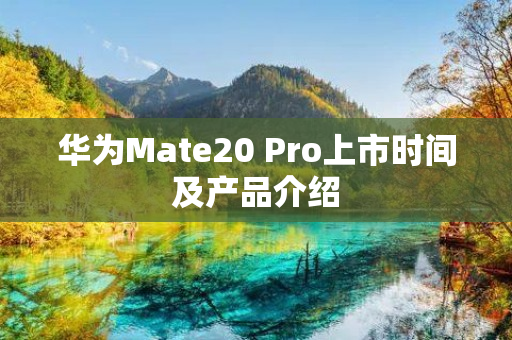 华为Mate20 Pro上市时间及产品介绍