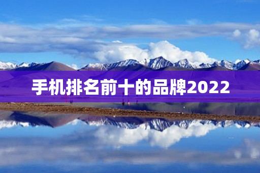 手机排名前十的品牌2022